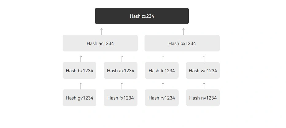 Merkle Tree для подтверждения резервов в XT.COM